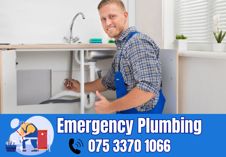  plumber Lessness Heath